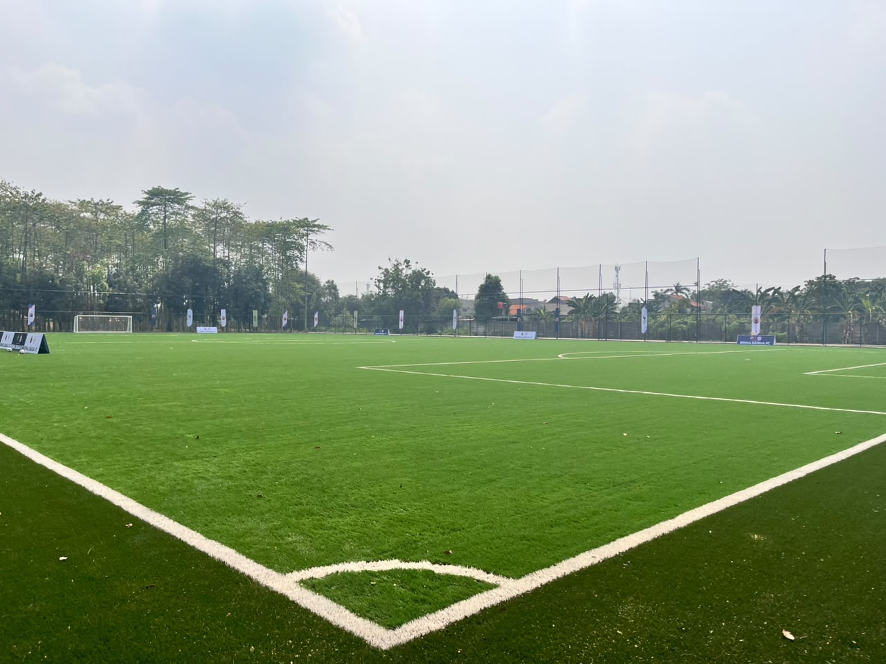 Rumput Sintetis Berkualitas
